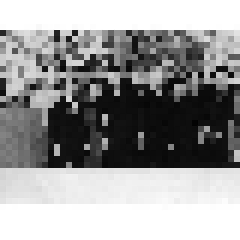 Фото. Групповой портрет. Герой Советского Союза М.К. Байда и группа партийных работников города Севастополя. (участники обороны Севастополя 1941-1942 гг.)