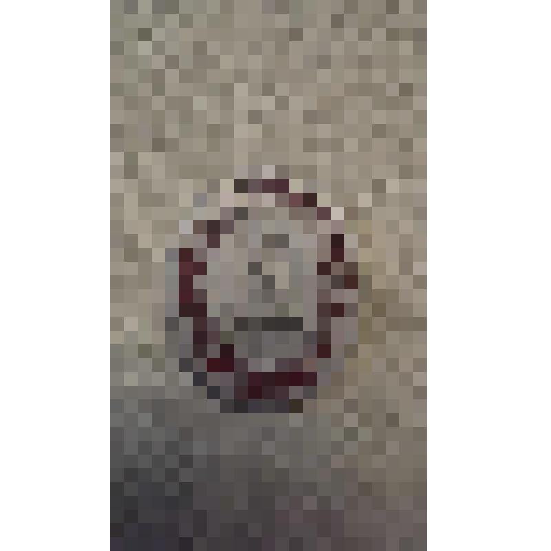 Значок  "Разлив. Шалаш" из серии " Мемориальные музеи В.И. Ленина"