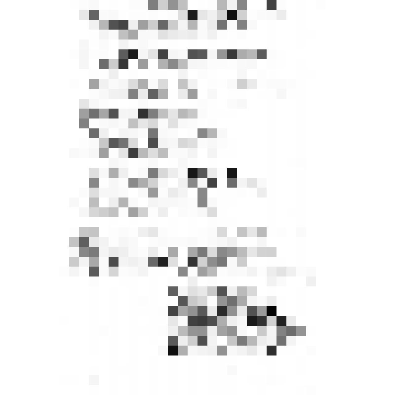 Рукописный  текст песни " Гусяточки"