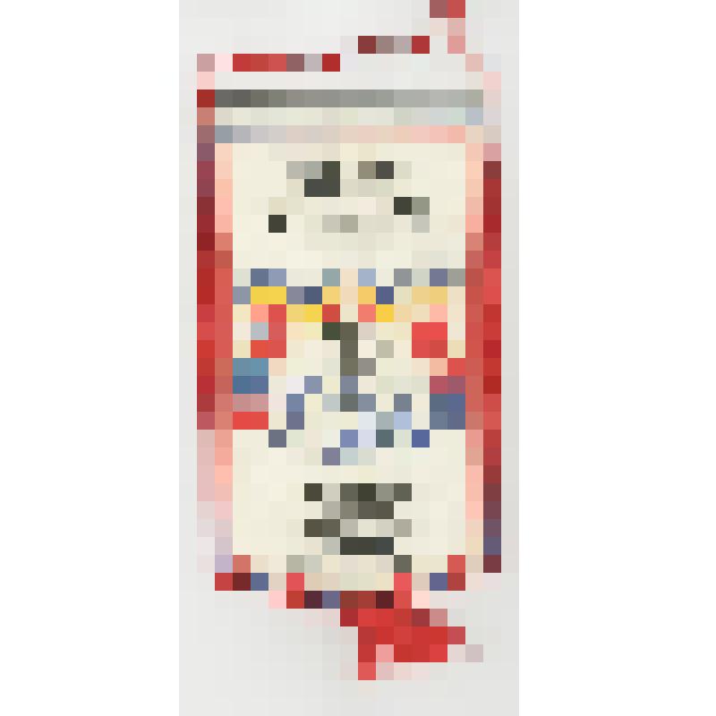 Вымпел. Дети Арктики