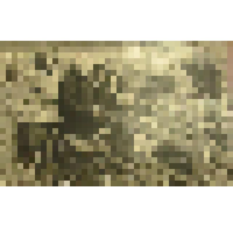 Фотография. Герой Советского Союза Генерал-лейтенант П.Ф. Тюрнев в деревне Кривая Лука Киренского района Иркутской области