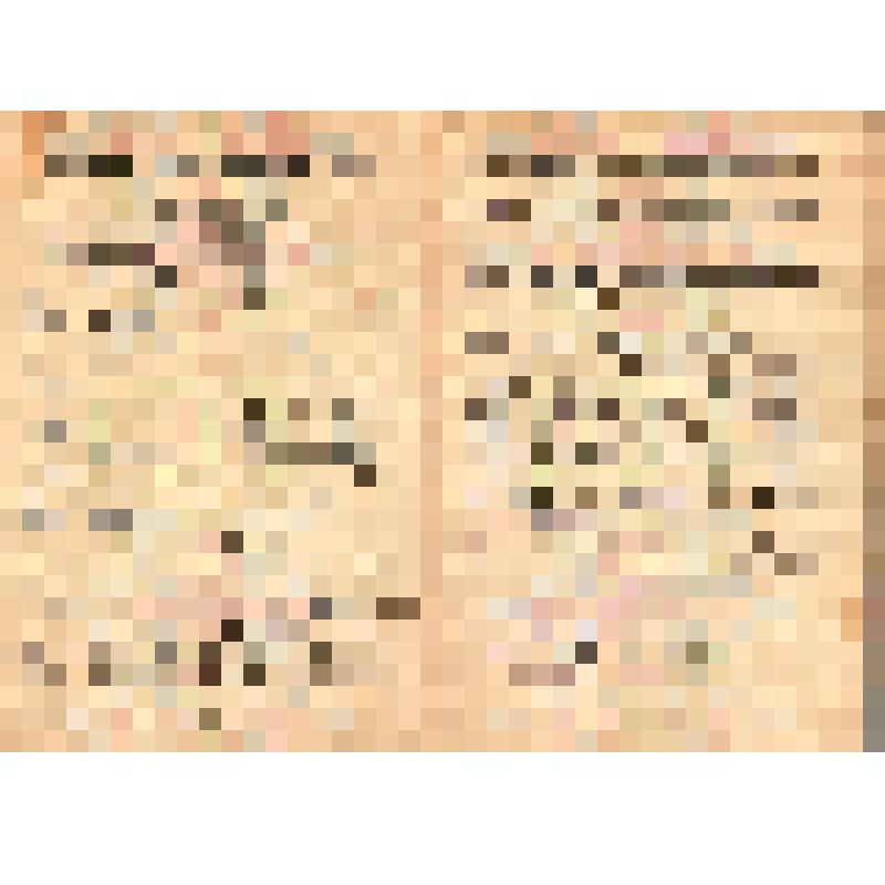 Свидетельство о заключении брака I-ИР № 250850