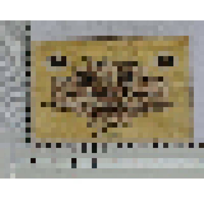 Германия, Гослар (Goslar). Нотгельд. 50 пфеннигов. Май 1917 г. до 1 мая 1920 г