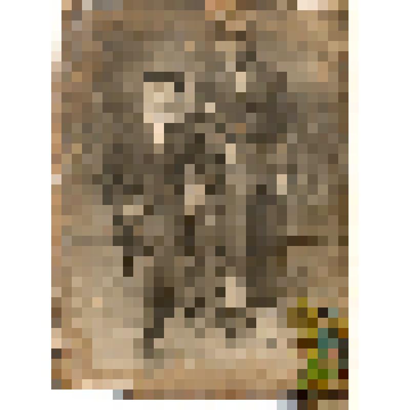 Фотокопия. Комсомольцы 20 – х годов Жуков В.И., Докучаев М.С