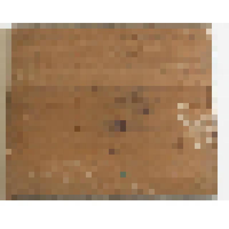 Икона "Нерукотворный образ Господа Бога и Спасителя нашего Иисуса Христа" (Спас на убрусе)  со святыми на полях