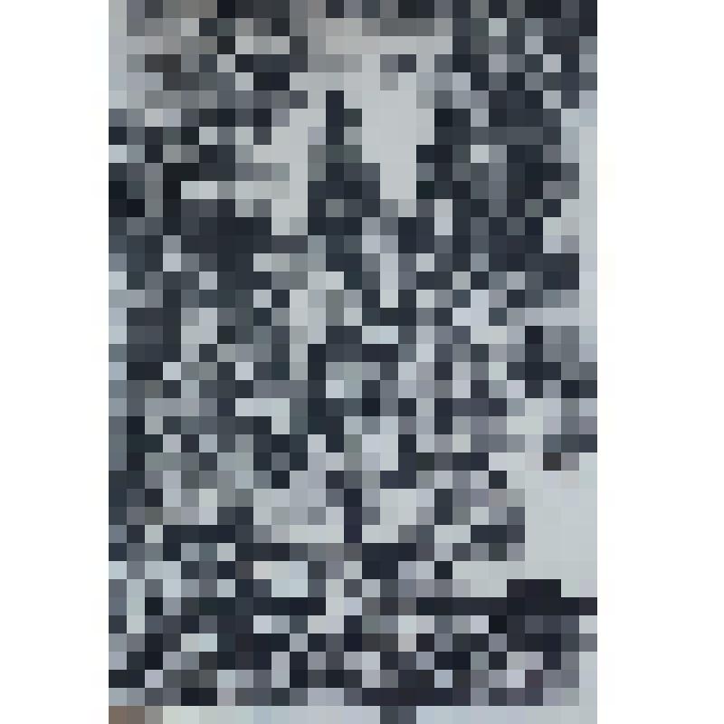 "115 кавдивизия"