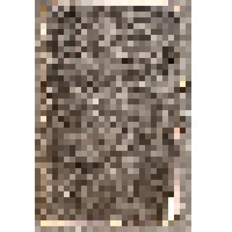 Рукопись. Тетрадь А.М. Оранжиреевой