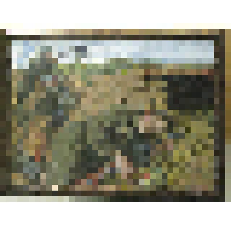 В минуты затишья. Медсестра Вера Ярчак