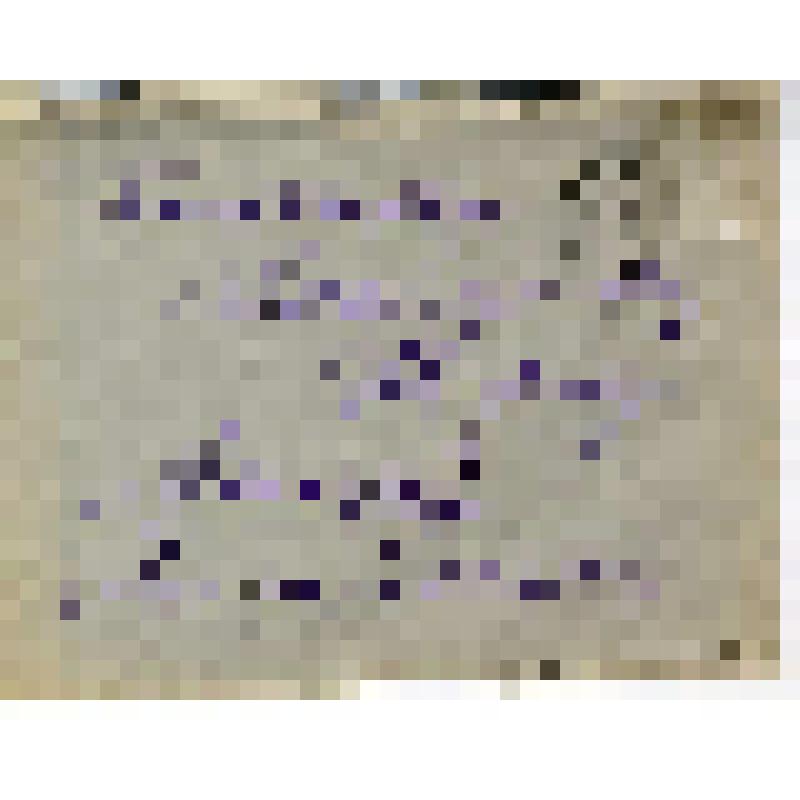 Письмо. Пастернак Борис Леонидович. Адресат: Федин Константин Александрович, г. Москва - Ленинград г. Беловой автограф