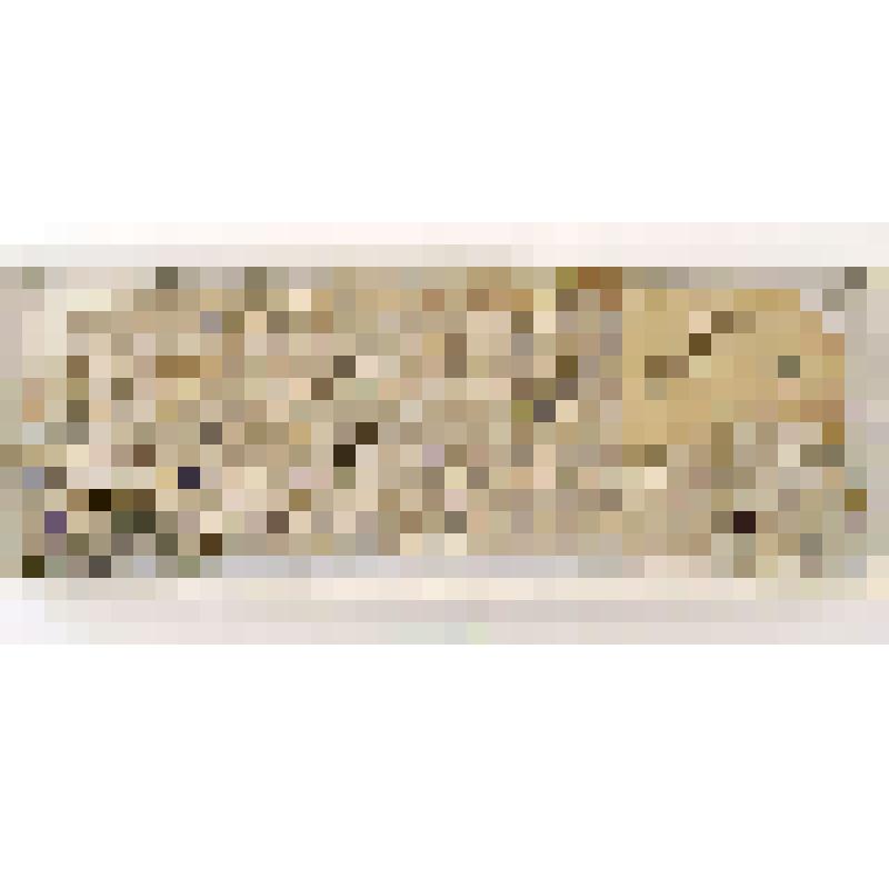 Панцирь черепахи