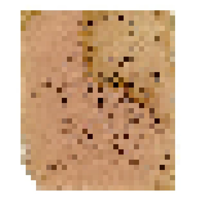 Иконный образец. Праведный Симеон Богоприимец