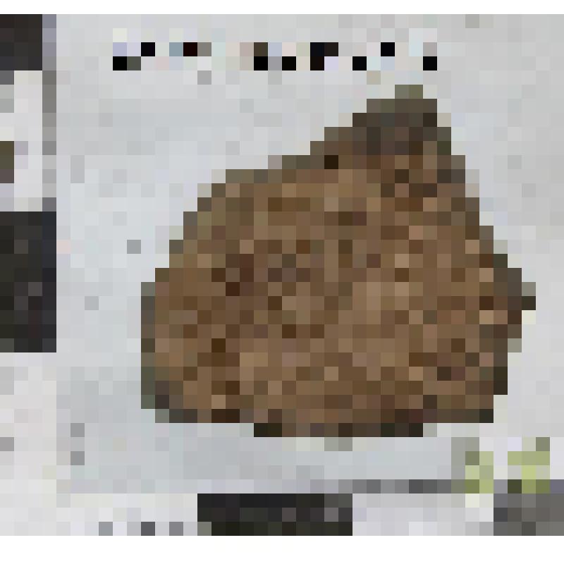 Стенки сосуда фрагмент