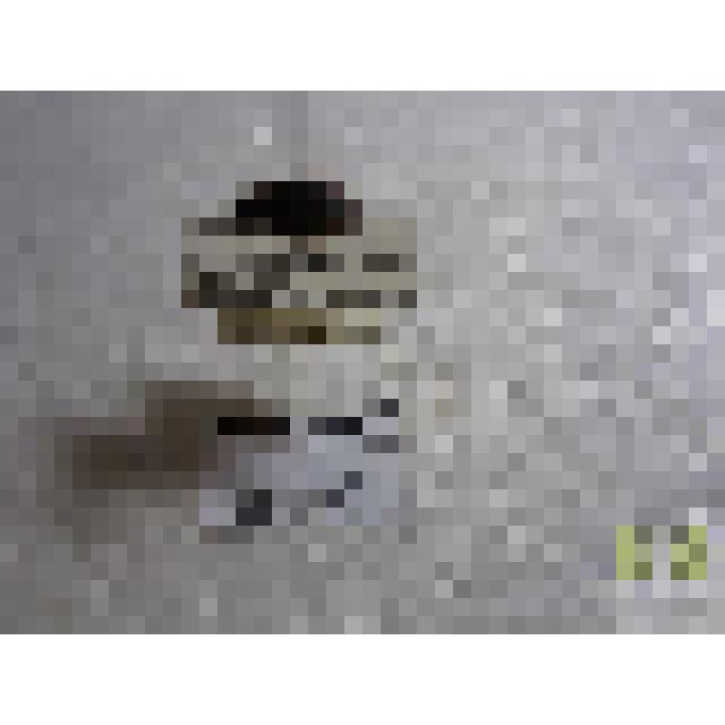 Моховик обманчивый (Calathus erratus C.)