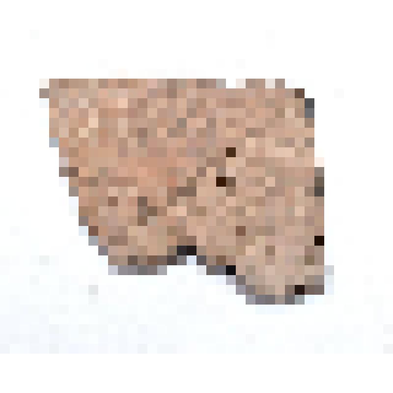 Сосуд (фрагмент)