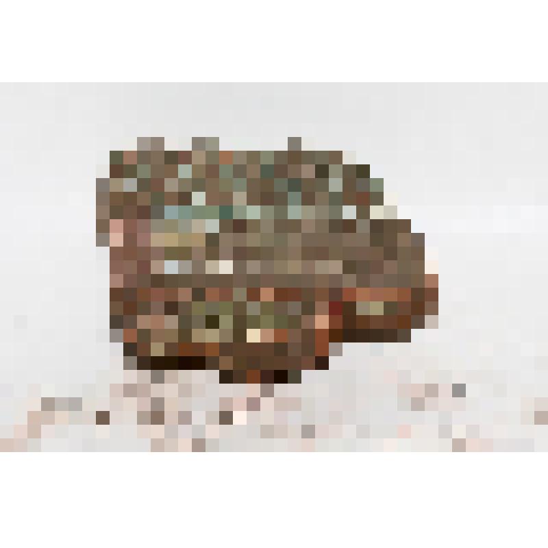 Изразец - карниз (фрагмент) рельефный муравленый