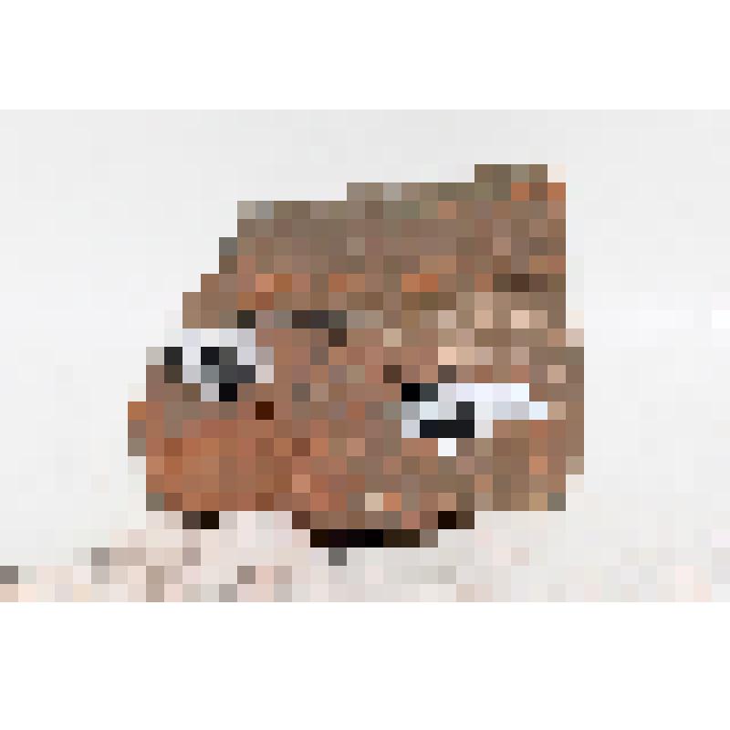 Изразец - карниз (фрагмент) рельефный муравленый