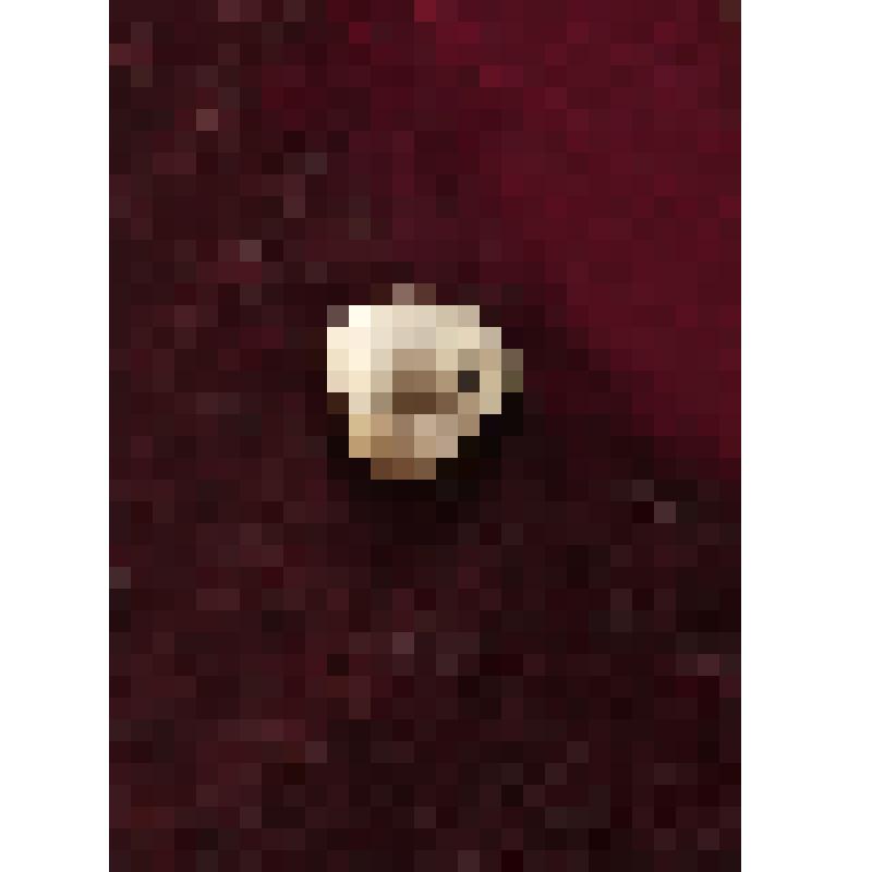 Коробка с костяными бирюльками: кружка