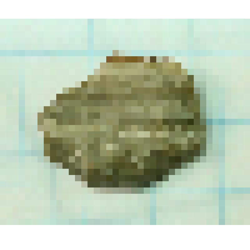Скребок