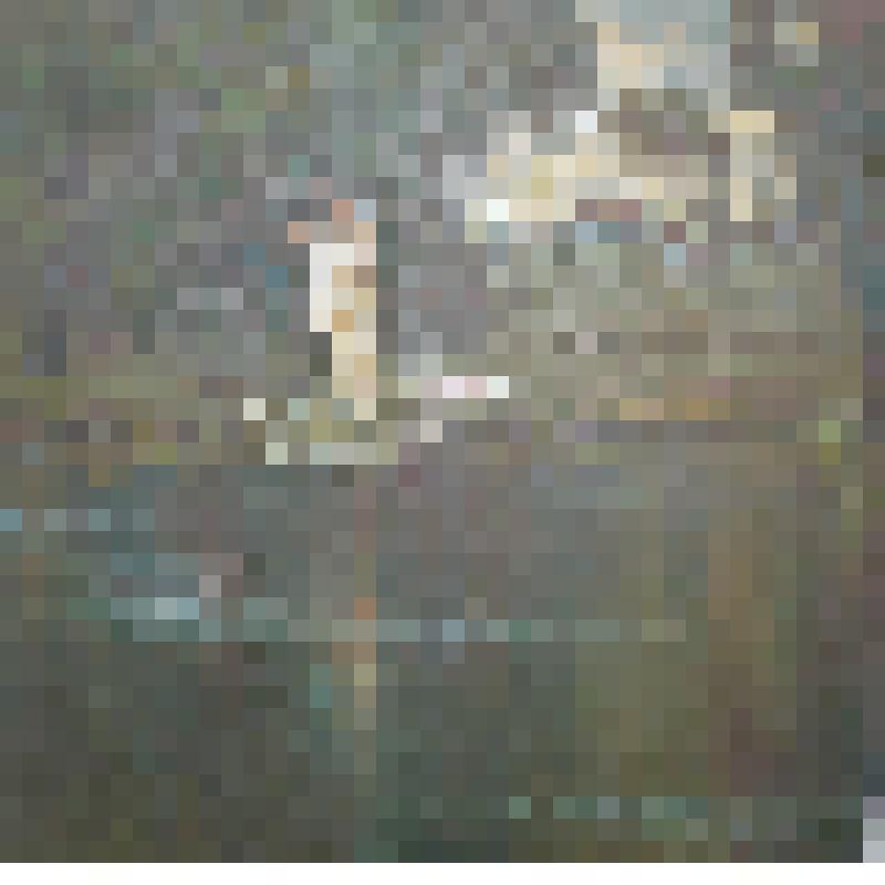 Картина. Лето