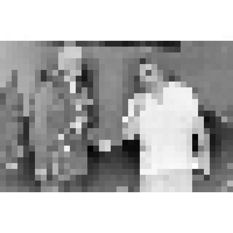 Фото ч/б. Заслуженный работник физкультуры Похлебин В.П. и чемпион по гребле Трощенкова Л