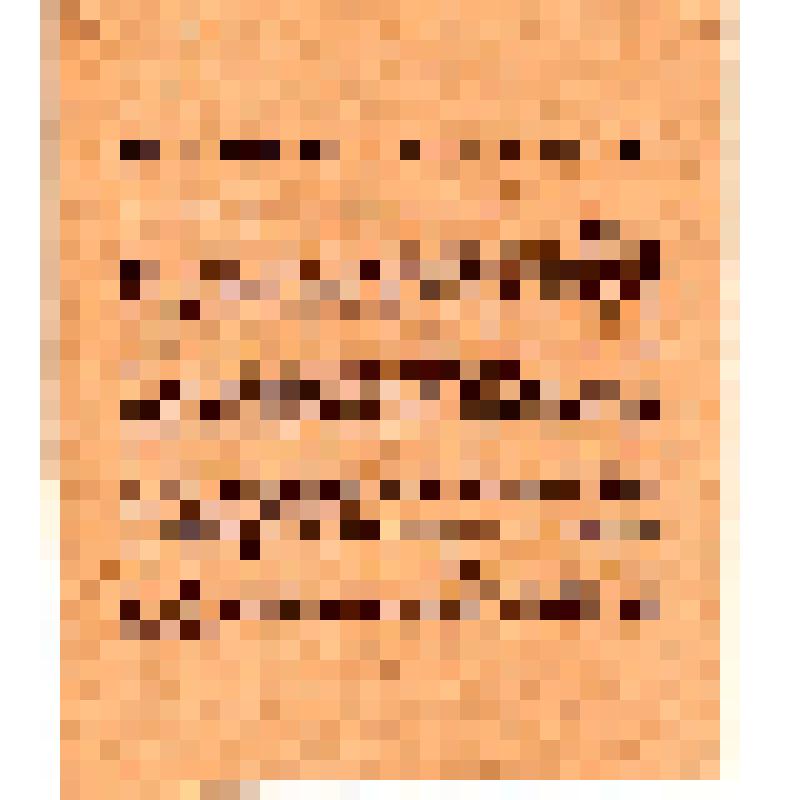 Политотдел Реввоенсовета Западного фронта. Польские разбойники