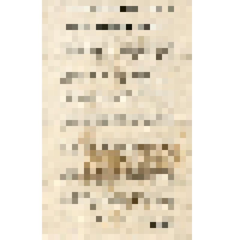 В. Кильчевский. Владения и средства фамилии Романовых