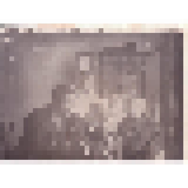 М.В. Калинина с внуками Александром, Юлией и Всеволодом