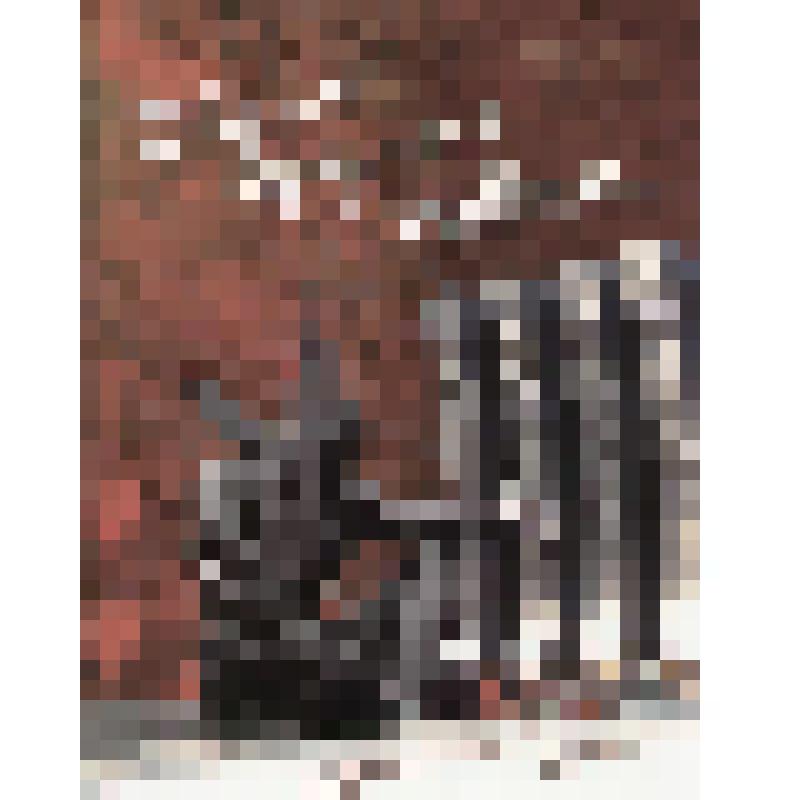 Книга. "Обещаю вернуться живым..." Судьбы, опаленные Афганом". Книга первая. ООО "Издательская группа "Медиа технологии групп". 2009 год