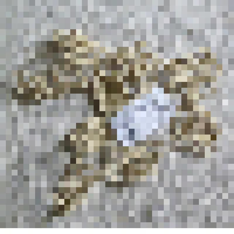 Вставка для салфетки декоративной, из коллекции бытовых вещей семьи Орловой Калерии Николаевны, бывшей заведующей лабораторией Саратовского областного туберкулезного диспансера