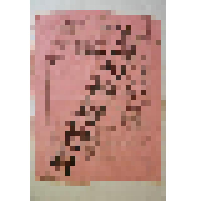 Афиша. "Доки сонце зийде-роса очи выисть". Украина, Ахтырка; Антреприза, Товарищество русско-малорусских опереточно-драматических артистов под управлением Е.П.Решимовой