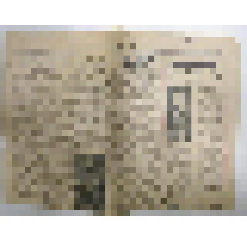 Газета "Работническо дело", на болгарском языке. Статья Св.Бъчварова "Мъдрост, проливаща кръв... Гостувата ни Народната артистка на СССР А.О.Степанова". (Приложение - вырезка со статьей и 1 экз. газеты)