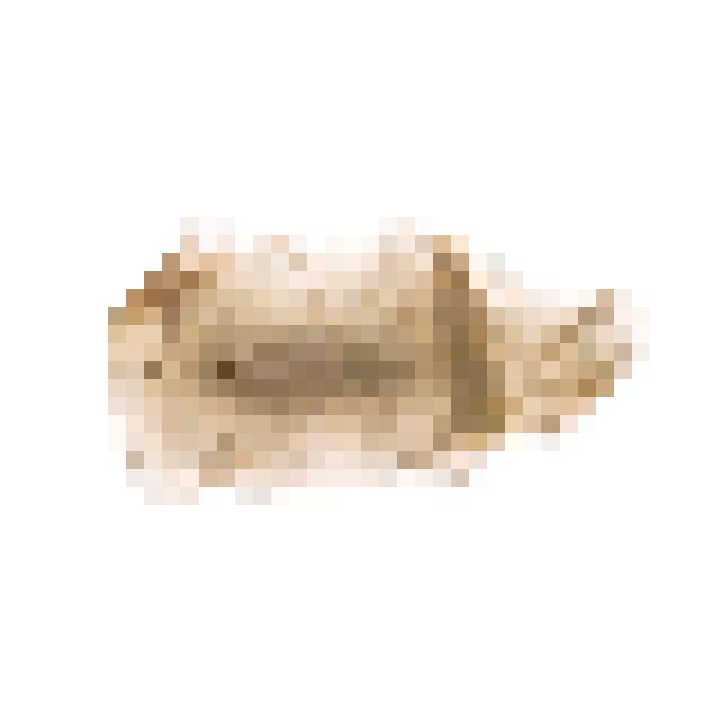 Отщеп. Ныйво 2
