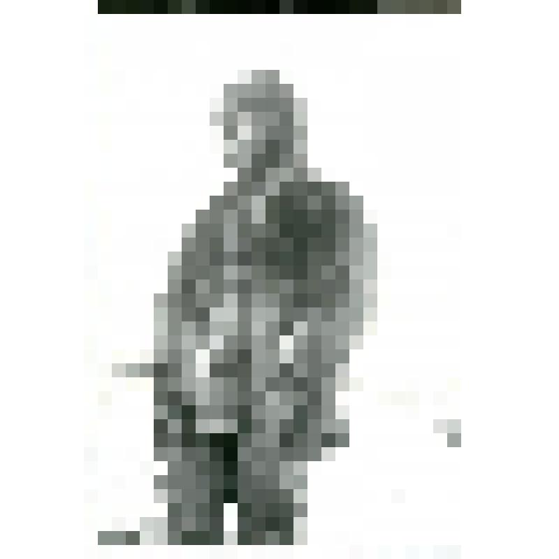 Фотокопия со стеклянных негативов. М.И. Бруснев