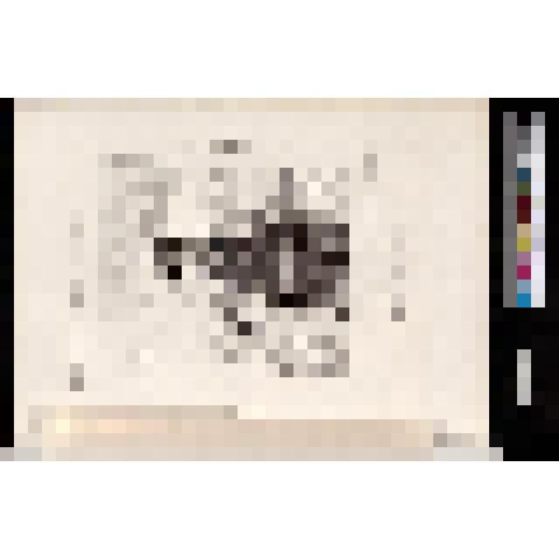 Листы из сюиты бытовых типов "Les invalides du sentiment". Старик, опирающийся о парапет набережной