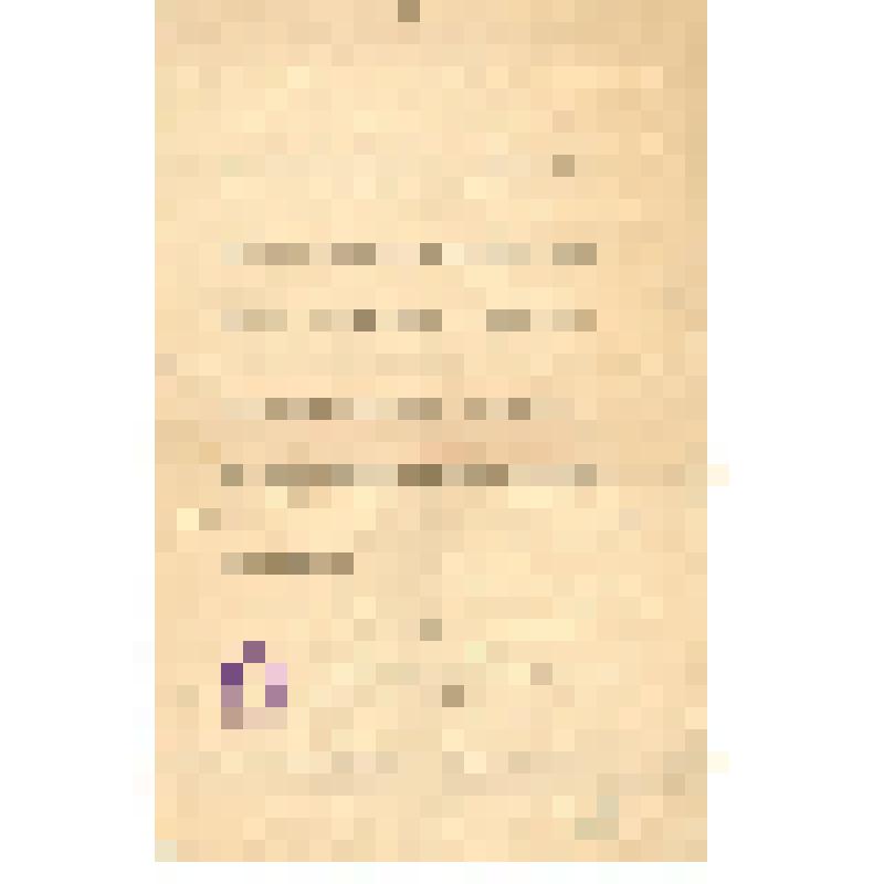 Удостоверение №1582, выданное  преподавателю графических искусств  Ростовского - на - Дону  2-го реального училища А.С. Чиненову, о преподавании на Старобельских  педагогических курсах Харьковского учебного округа