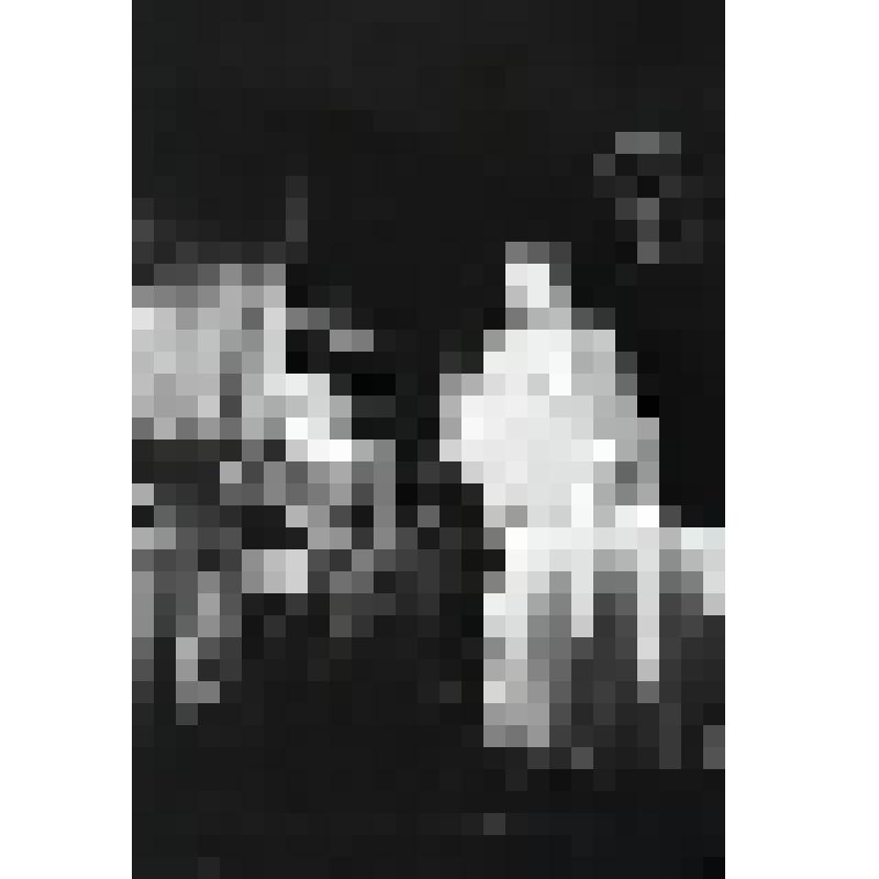 Негатив черно-белый. Соня - Лисовская Я.К.;  Астров - Ефремов О.Н. "Дядя Ваня" (1985)