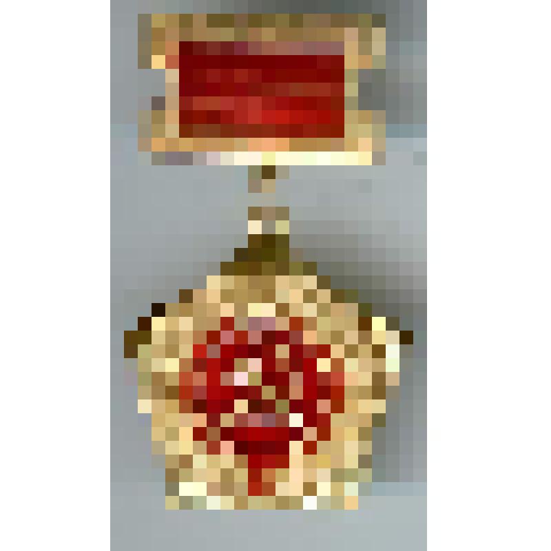 Знак нагрудный «Ветеран труда» Чапурина Сергея Павловича