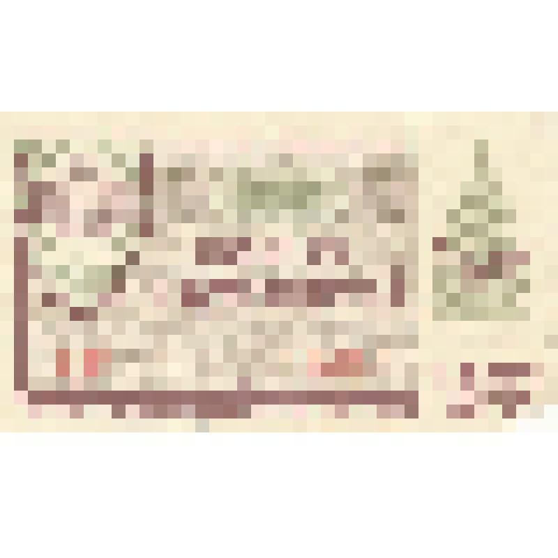 Лотерейный билет денежно-вещевой лотереи. Новогодний выпуск. РСФСР. 1969 г