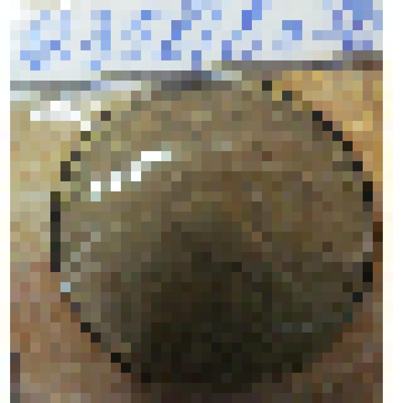 Монета иностранного государства. Венгерская народная республика. Номинал 5 форинтов