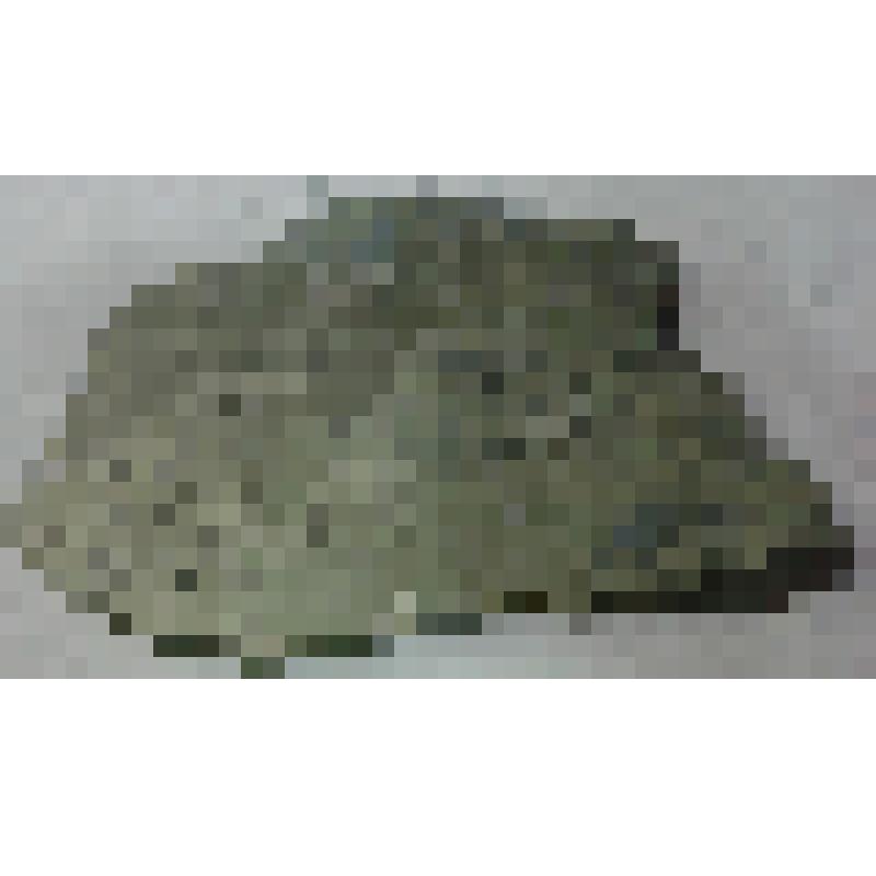 Образец. Известняк черный, темно-коричневый криптозернистый (до 0,05 мм), комковатой и сферолитовой текстуры