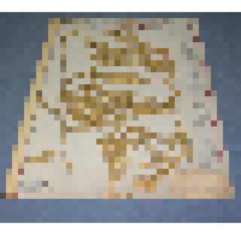 Ботаническая коллекция. Плаун-деряба, на гербарном листе, Красноярский край, Ермаковский район по тракту станции Кулумыс, пихтово-кедровый лес (подлесок,черемуха). Cем. Uycorodiaceae Uyjrolium annottinum Z