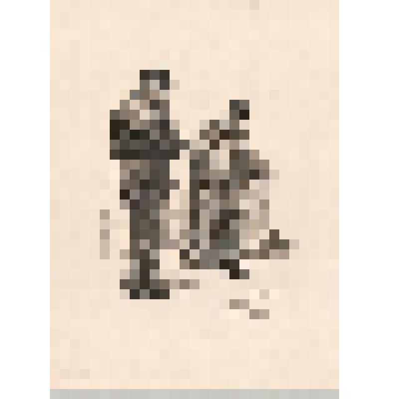 Литография. Ил. 10