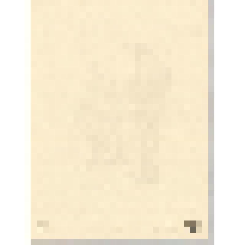 Литография. Ил. 10