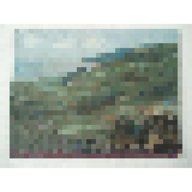 Лунёв В.И.  "Мержаново"  