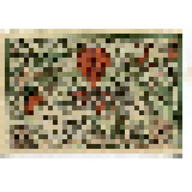 Бумажный денежный знак. Нотгельд г. Штайнах. Дети в городе Штайнах. 50 пфеннигов. Германия (Веймарская республика)