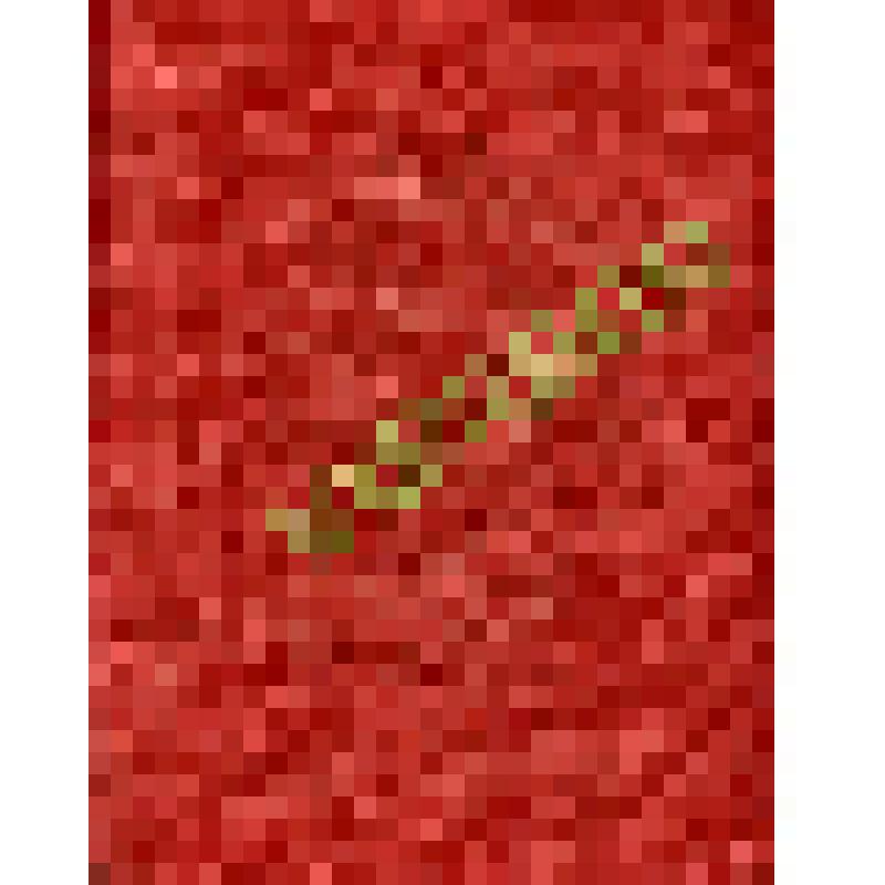 Свидетельство № 167 Воробьева Александра Матвеевича об окончании курсов шоферов-любителей автомобилей с ручным управлением