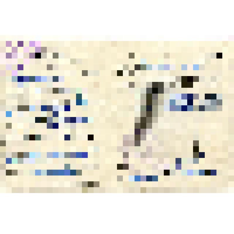 Свидетельство № 167 Воробьева Александра Матвеевича об окончании курсов шоферов-любителей автомобилей с ручным управлением