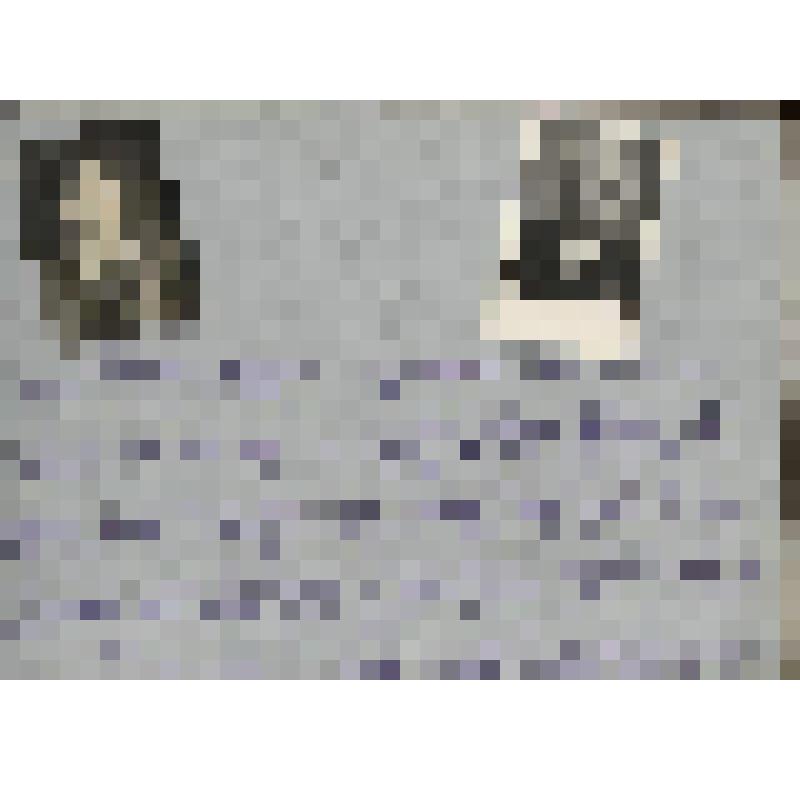 Фотография черно-белая. Первая пионерка Занино-Починской школы  Морозова