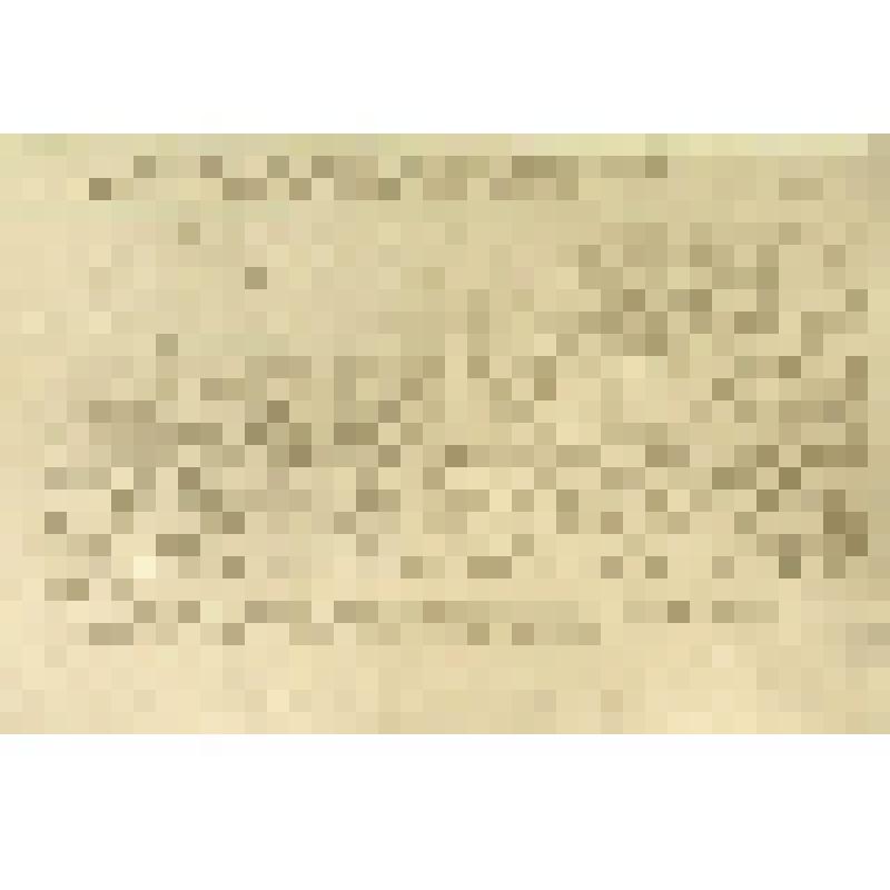 Письмо воеводы Т. Бестужева. Фотокопия