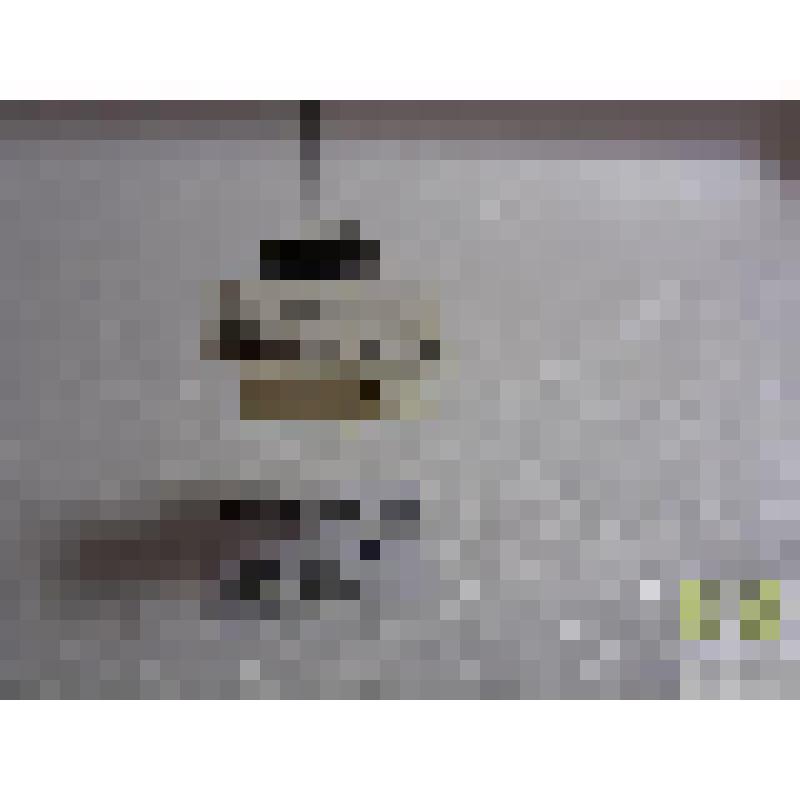 Тускляк схожий (Amara similata Gull.)